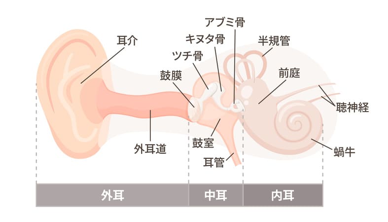 耳の病気について